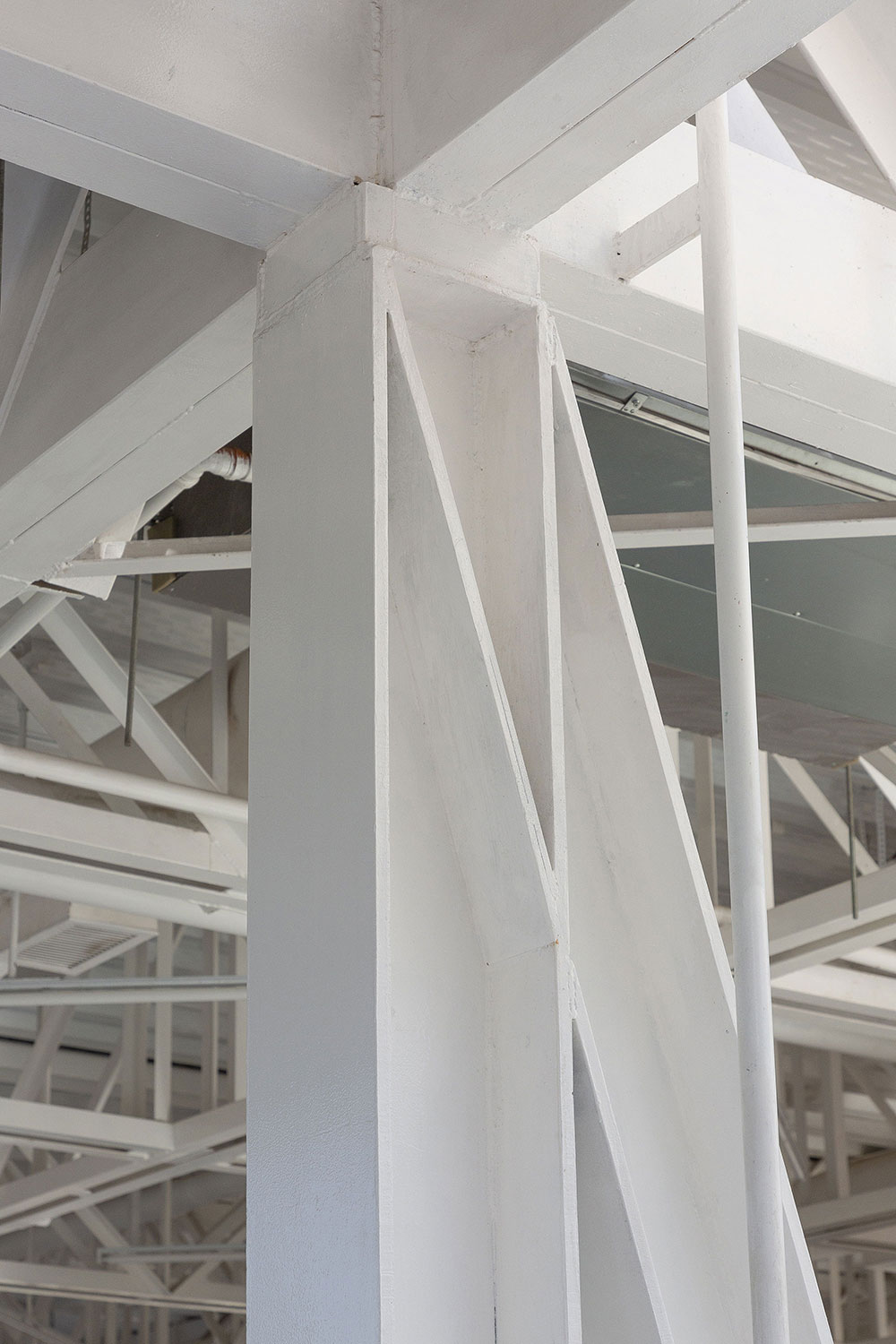 Veneciana Canning ||| Canning ||| DRM Ariquitectura