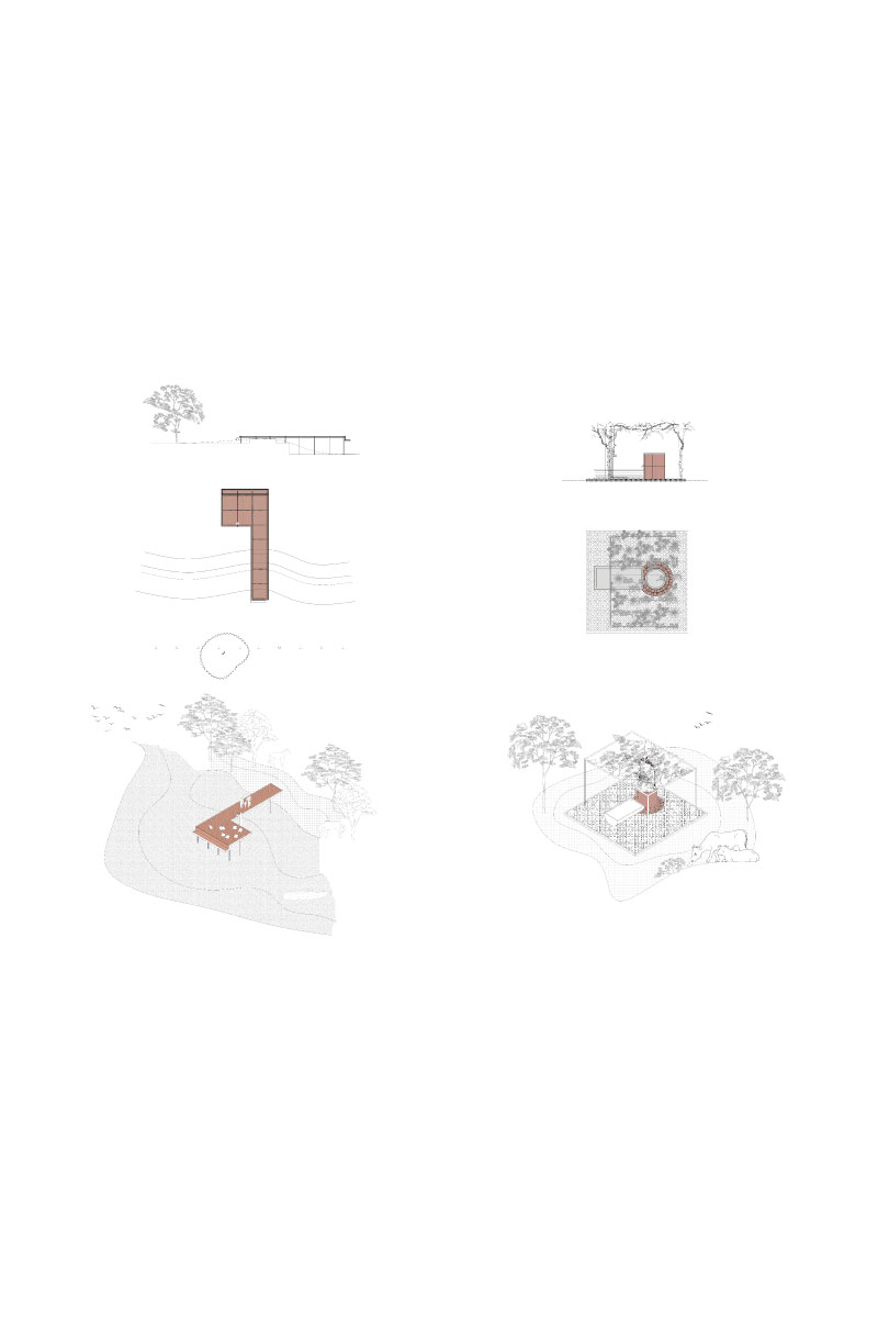 Casa Campo Pila ||| Pila ||| DRM Ariquitectura