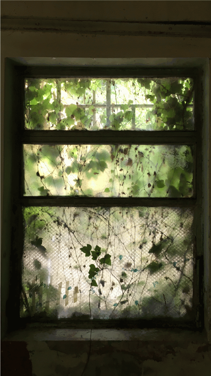 invasion - DRM Arquitectura